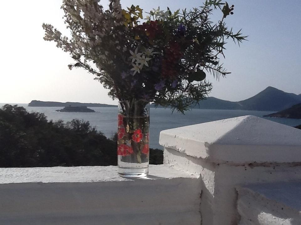 Villa Mirista Luštica Oda fotoğraf