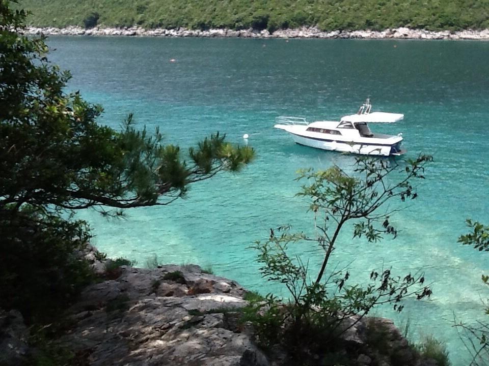 Villa Mirista Luštica Oda fotoğraf