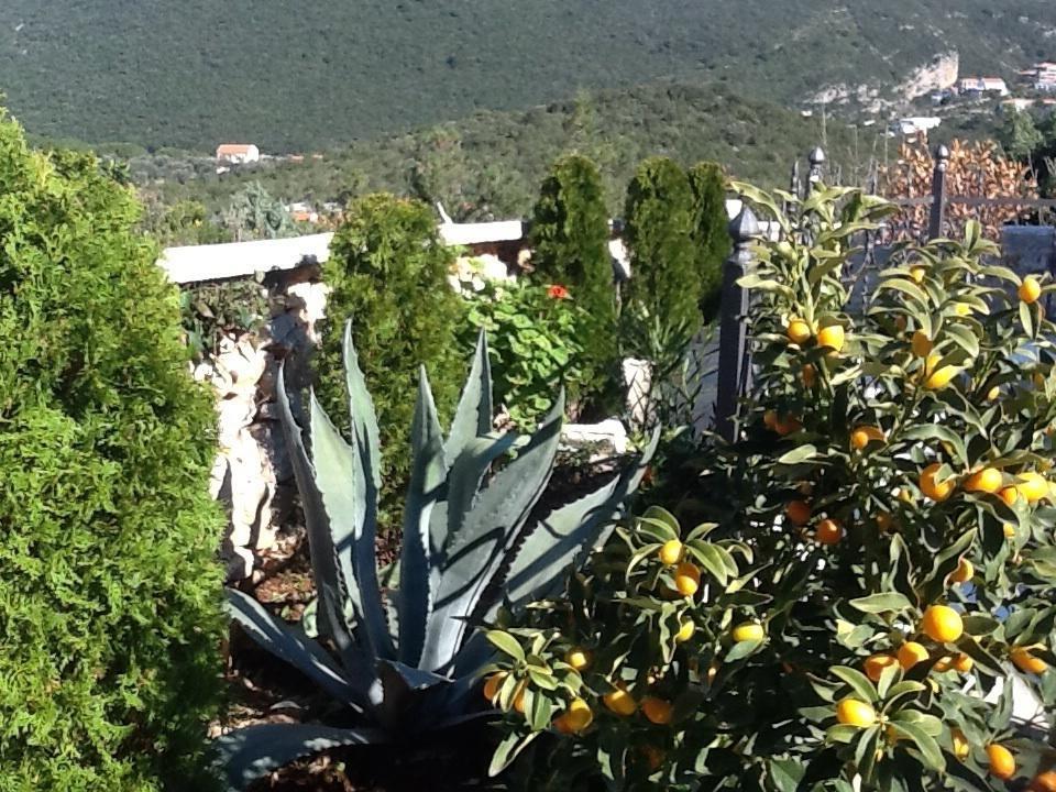 Villa Mirista Luštica Oda fotoğraf