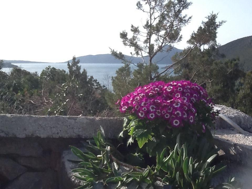 Villa Mirista Luštica Oda fotoğraf